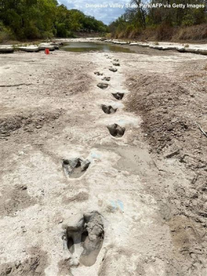 Η ξηρασία αποκάλυψε πατημασιές δεινοσαύρων στο Τέξας