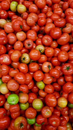 150.000 ντομάτες σκέπασαν κεντρικό δρόμο στην Καλιφόρνια της Αμερικής