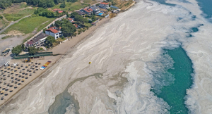Επανεμφάνιση της τοξικής βλέννας στη θάλασσα του Μαρμαρά – φόβοι για τις θάλασσές μας