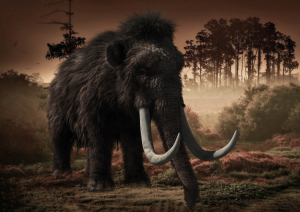 Η Colossal θέλει να αναδημιουργήσει τα μαμούθ που εξαφανίστηκαν πριν από 4.000 χρόνια