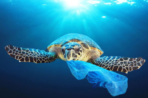 Τα πλαστικά μίας χρήσης δεν θα υπάρχουν πλέον στη ζωή μας
