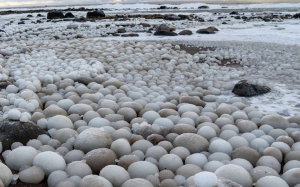 «Αβγά» πάγων σε αμμουδιά της Φινλανδίας
